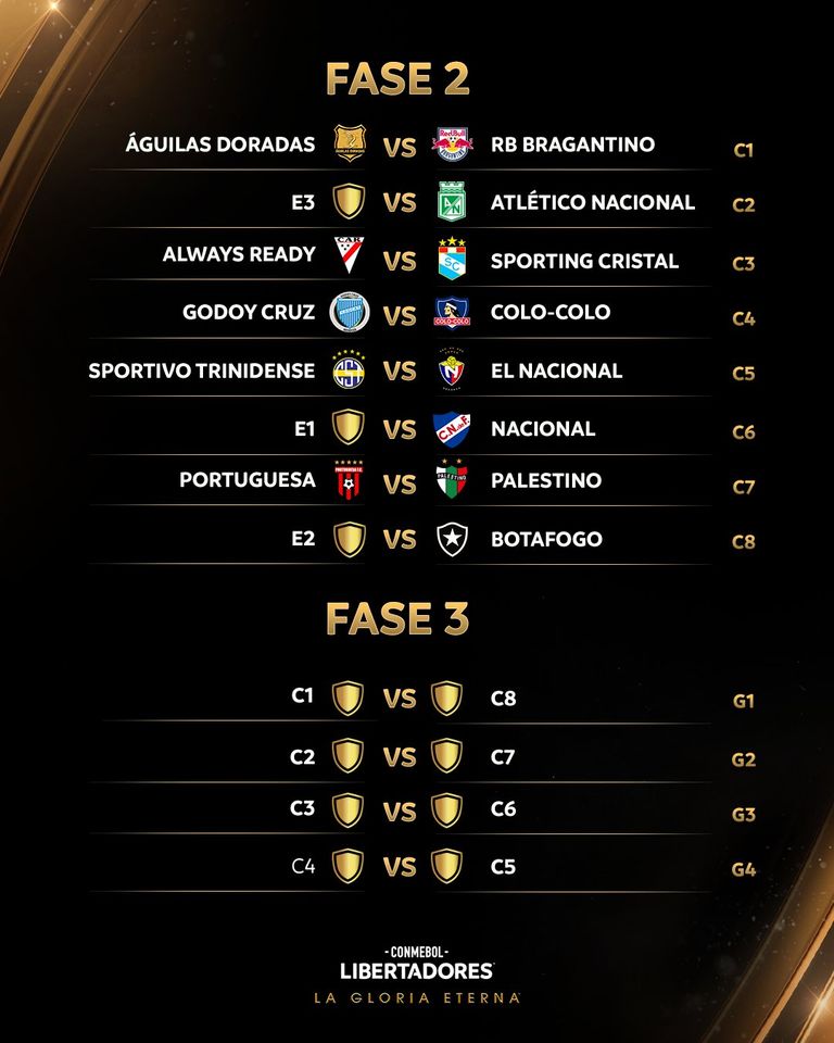fase 2 y 3