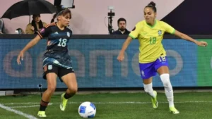 argentinabrasil_crop1709463990493.jpg_1480801792
