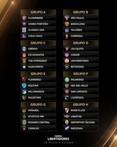 copa-libertadores_w862