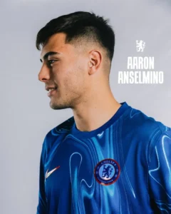 anselmino_w862