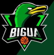bigua