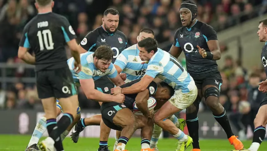 los-pumas
