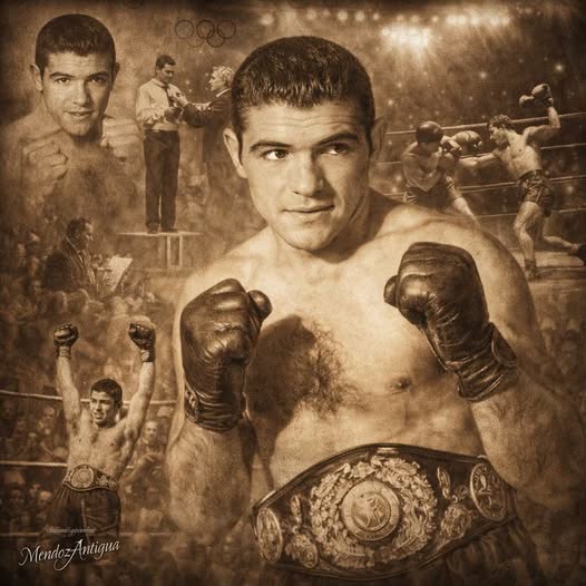 642788468_1523394029789537_3817189173147586255_n